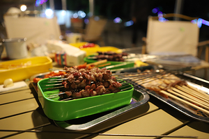 蓝田县奇妙假日烧烤露营地