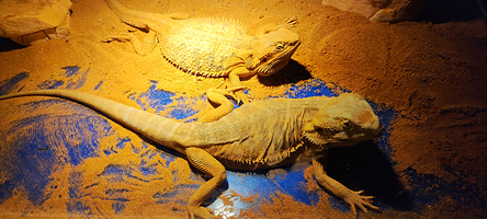 忻州海昌海洋探索馆