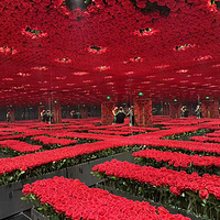 再现大师-世界名画感映艺术大展