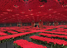 再现大师-世界名画感映艺术大展