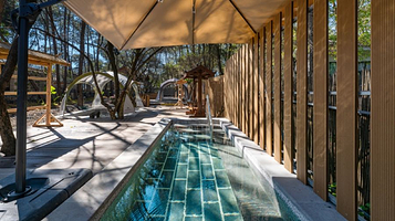 杜鹃王森林温泉