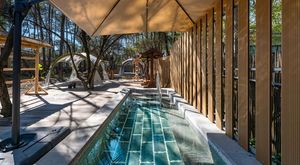 杜鹃王森林温泉