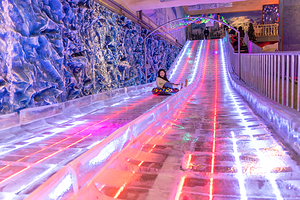 树木园主题乐园