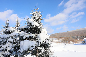 威虎山国家森林公园