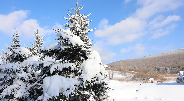 威虎山国家森林公园