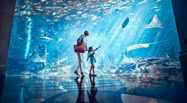 迪拜失落的空间水族馆
