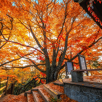 光雾山旅游景区