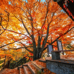 光雾山旅游景区