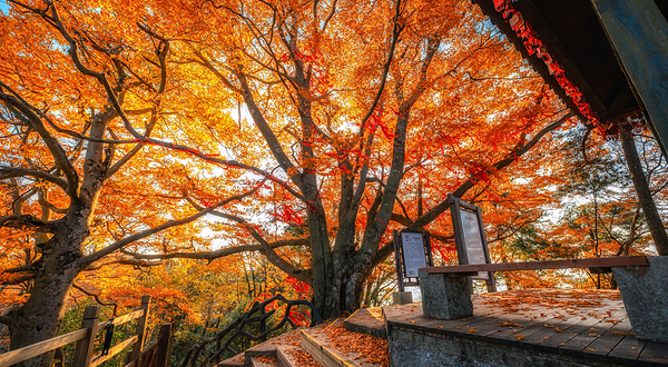 光雾山旅游景区