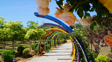 那时明月·花溪谷