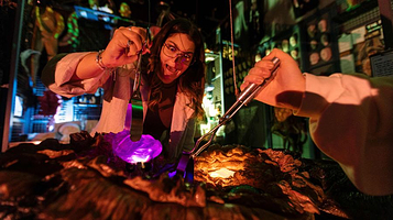 奥克兰维塔工作室