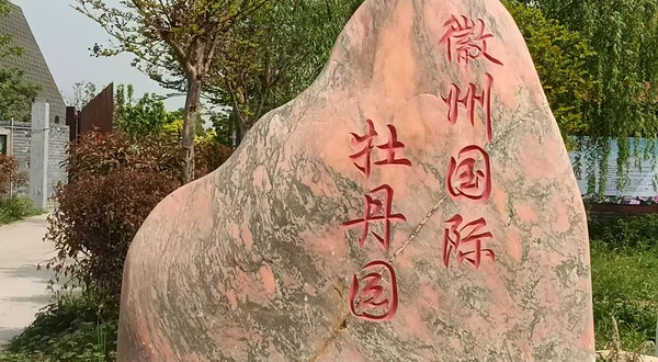 徽州国际牡丹园