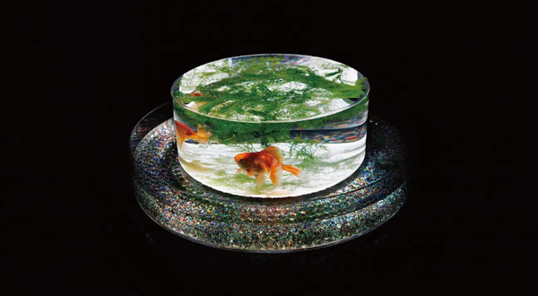 名古屋艺术水族馆展2025