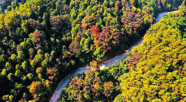 平天山国家森林公园