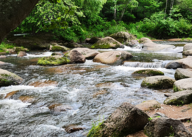 三道关国家森林公园