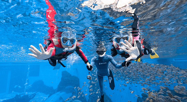 特缔思潜水俱乐部(海洋世界店)