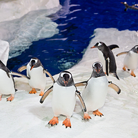 凯利塔顿海底世界