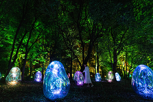 大阪长居植物园teamLab