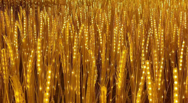 东莞桥头生态园