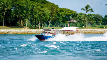 新加坡南信天翁号