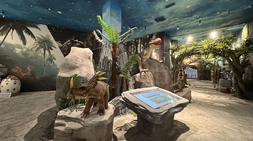 大连科学梦数字艺术馆