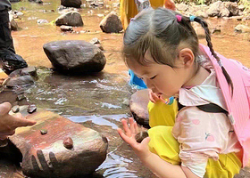 基诺山巴朵村雨林徒步