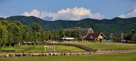 萍乡仙凤三宝景区