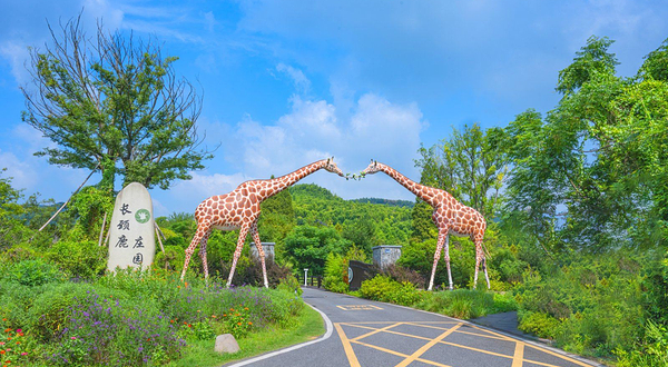湖州长颈鹿庄园