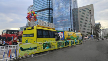 合肥夜游观光巴士