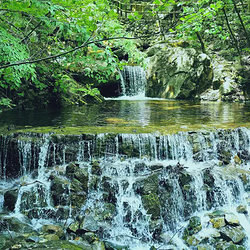 青峰峡森林公园