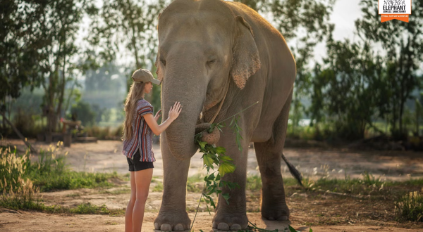 芭堤雅大象丛林保护区