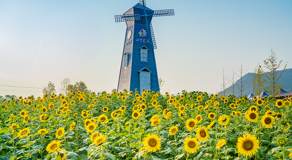 英山四季花海景区