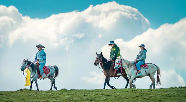 天缘牧歌牧家乐