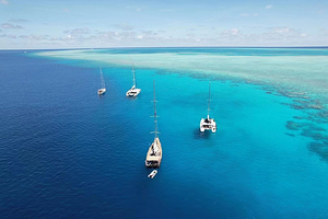 西沙群岛自由鹿游艇帆船俱乐部