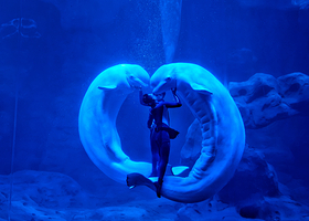 舟山长乔海洋公园