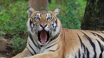 雄森旅游度假区