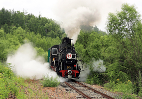 内蒙古阿里河国家森林公园
