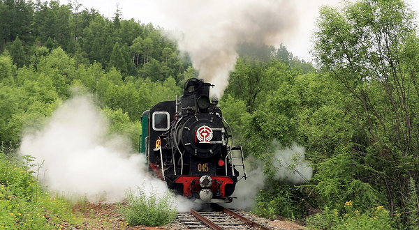 内蒙古阿里河国家森林公园