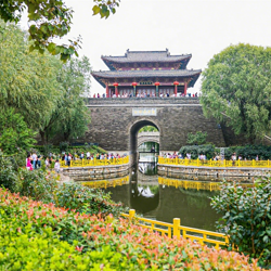 东阿中医药文化旅游区