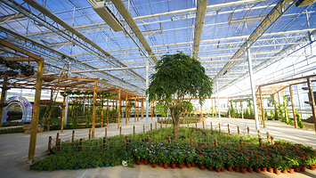 烟台回里农博园