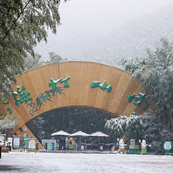 天目湖南山竹海景区