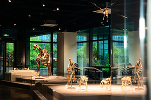 南京矿物文化艺术馆