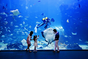 一山Aqua Planet水族馆