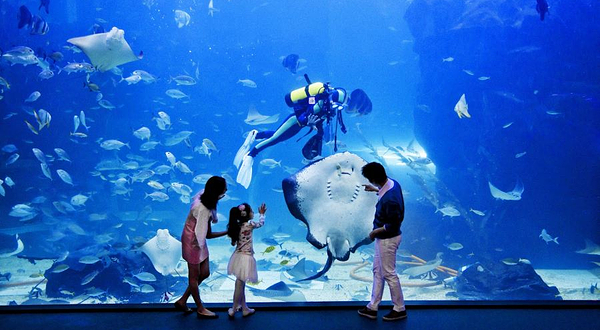 一山Aqua Planet水族馆