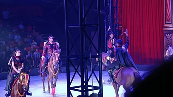 日照国际啤酒嘉年华大马戏