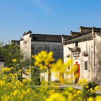 屏山村