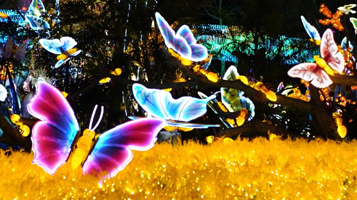 南通仙境光影乐园