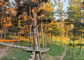 飞奔树上拓展乐园