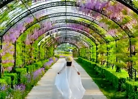 山东千亩园农场