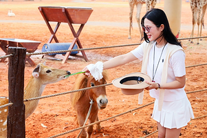 越南Safari野生动物主题咖啡馆